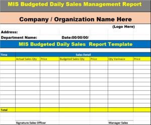 MIS Management Report Template - Free Report Templates